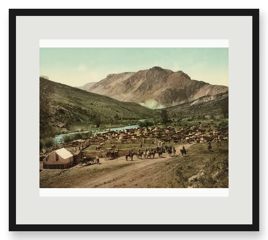 Round-Up on the Cimarron, Colorado, 1898 (Detroit Publishing Company): A cattle camp and herd fill a high Colorado valley