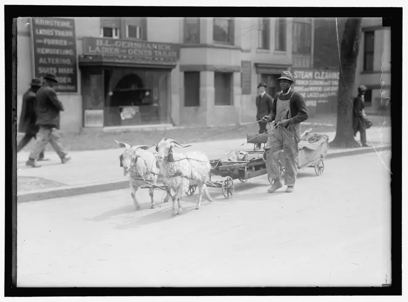 The Goat Team, c.1915 (Harris & Ewing). Before kids had bikes, Washington kids hitched goats to carts and drove them like ponies, and they were very serious about it.
