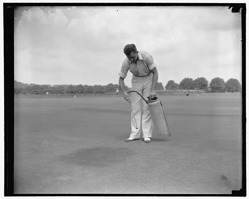 Dyed Green for Nervous Putters, 1938 (Harris & Ewing). Golfers complained that brown patches on the greens rattled their putting, so Agriculture Department experts made an insecticide that also dyed the grass green.