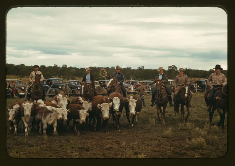 Driving Calves for Roping, Pie Town, 1940 (Russell Lee). Local boys drove calves into the corral for the roping event, the same ranch skill that started rodeo in the first place.