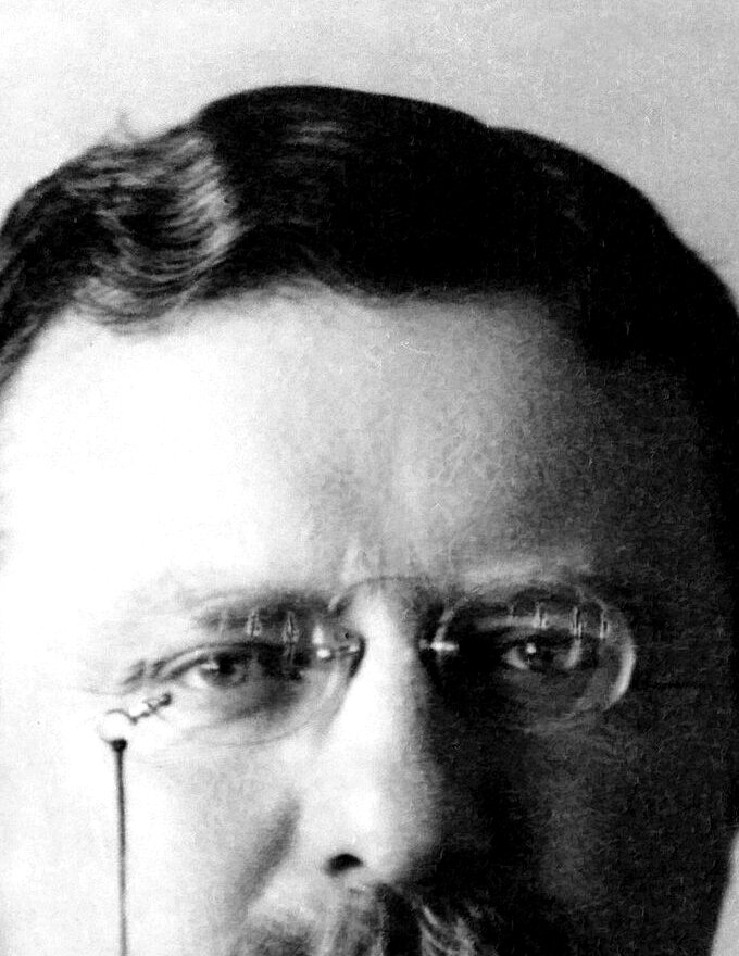 Portrait of Theodore Roosevelt, 1904.
